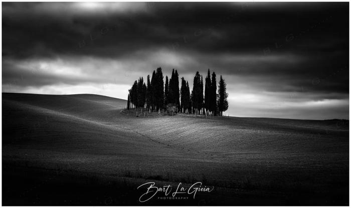 CIPRESSI IN VAL D'ORCIA